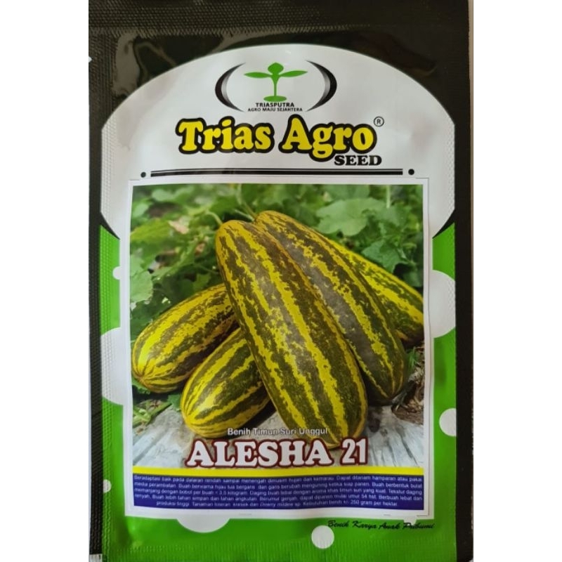 Benih Timun Suri ALESHA 21 Trias Agro