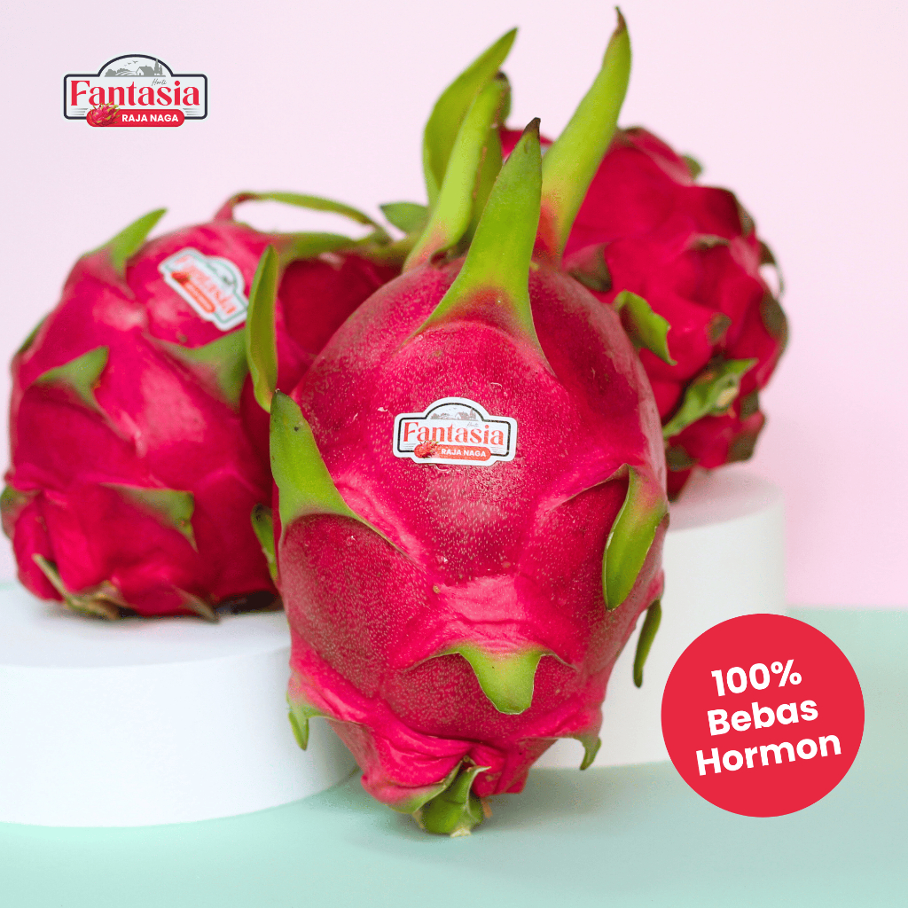 

Horti Fantasia Buah Naga Putih 1 kg White Dragon Fruit Premium Bebas Hormon Organik