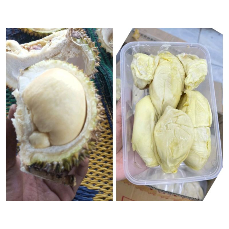 

Durian kupas daging tebal