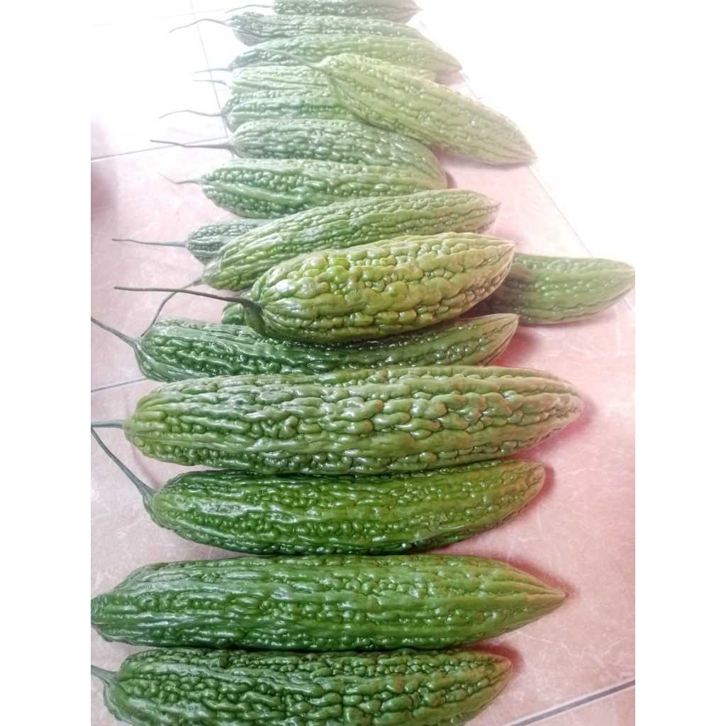 

Sayuran Pare Jenis Ratu 500 gram