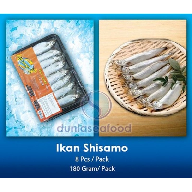 

Ikan Shisamo Betina (Female) 8 pcs/pack 180 gram/pack