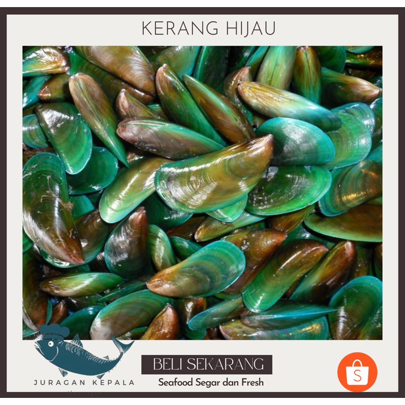 

KERANG HIJAU PREMIUM 1KG