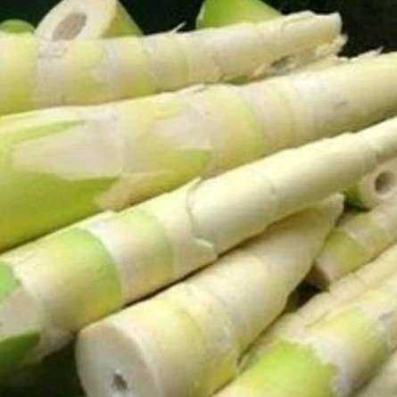 

sayur rebung 1bks