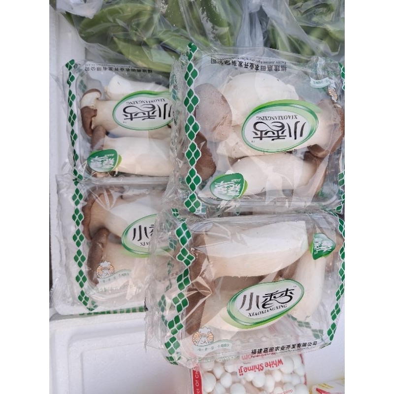 

Jamur King Oyster per pack