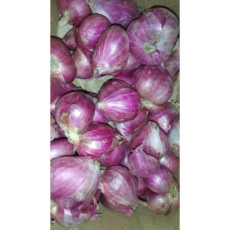 

BAWANG MERAH 1/4kg