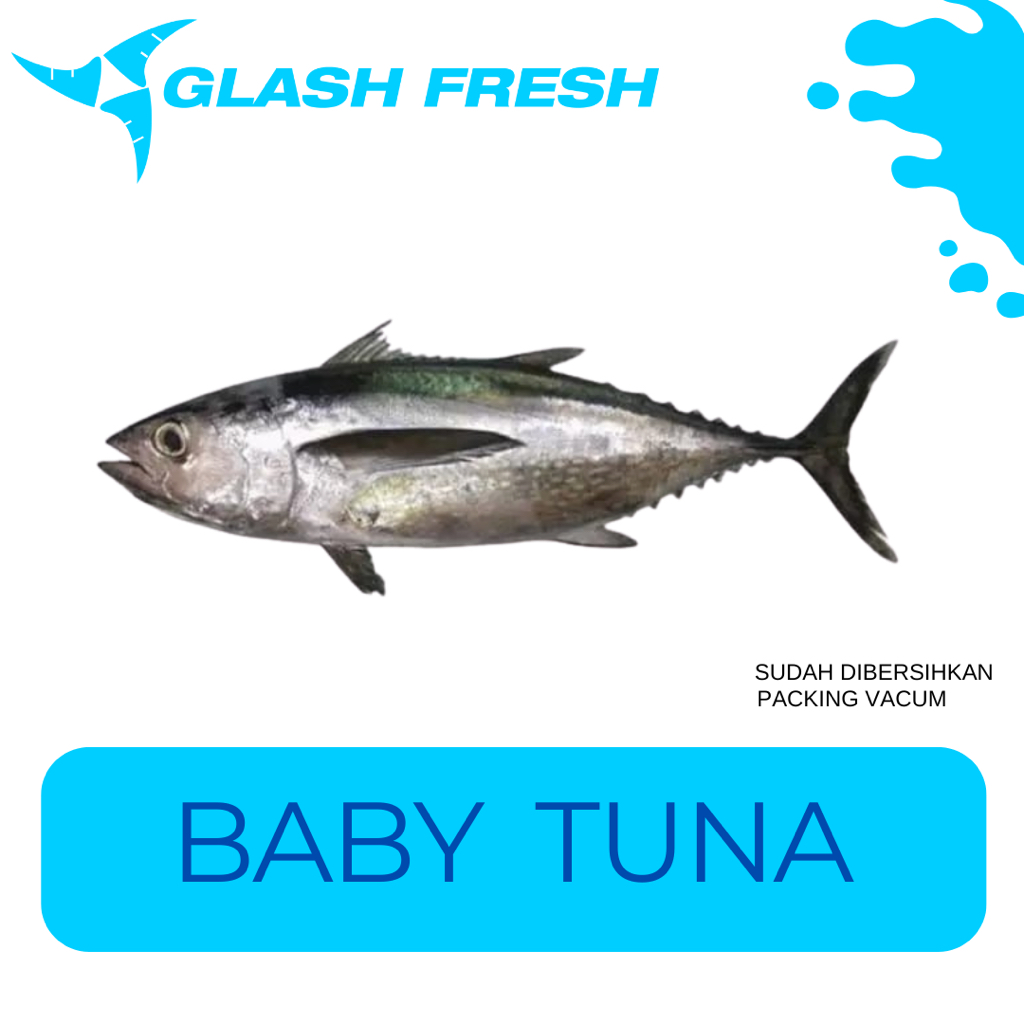 

IKAN BABY TUNA SEGAR DAN BEKU