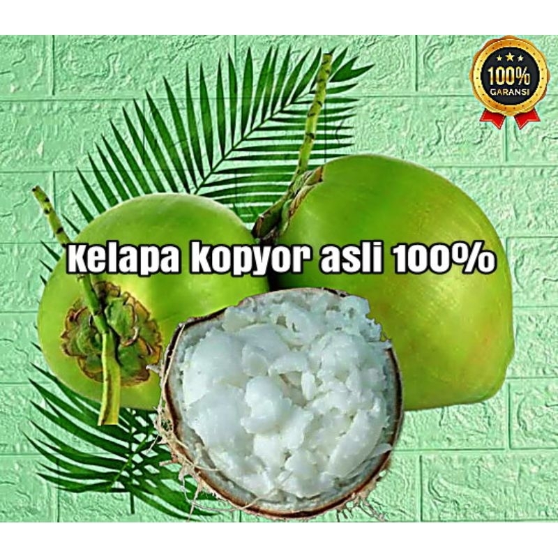 

kelapa kopyor asli 100% size 58-63cm daging tebal dan manis