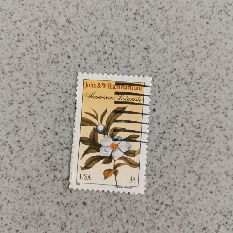 

Perangko Used USA gambar bunga flowers