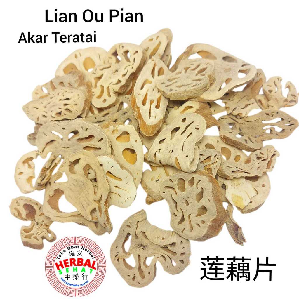 

Lian Ou Pian 50 Gram 莲藕片 Akar Teratai Iris - Kering - Lotus Rhizome Rhizoma Node