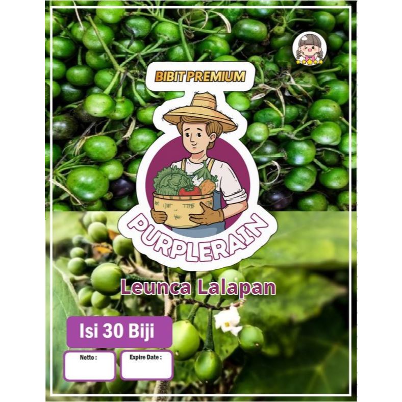 Bibit Premium Leunca Lalapan |Biji Benih Leunca |Biji Leunca