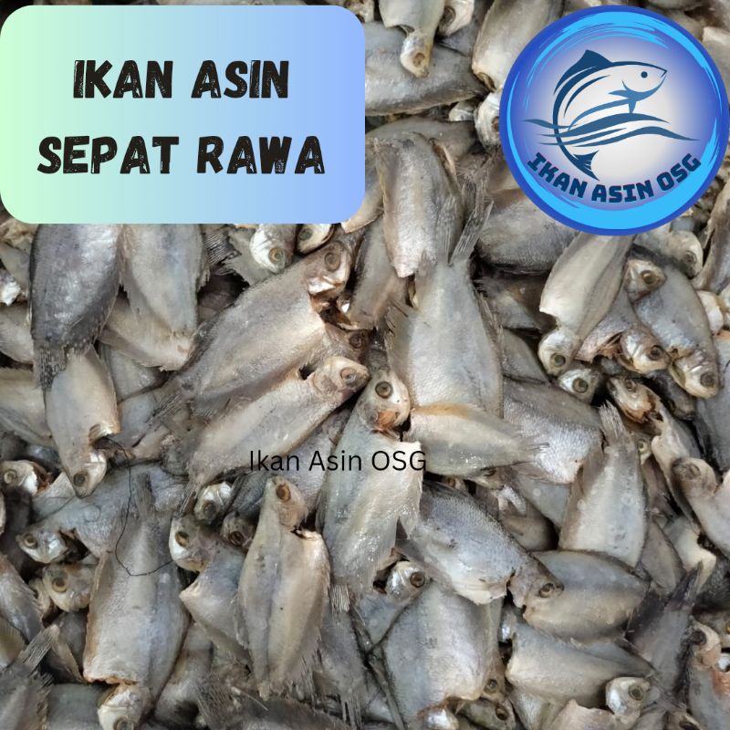 

ikan asin sepat rawa