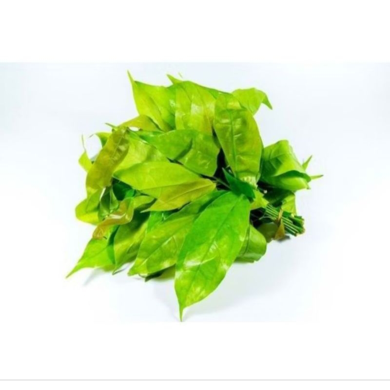 

DAUN MELINJO / TANGKIL Super Fress