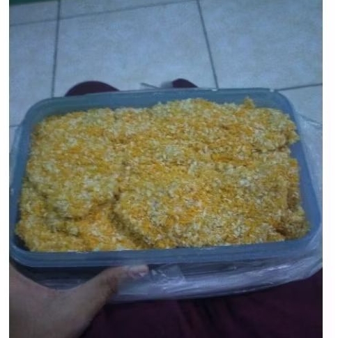 

(FN) CHICKEN KATSU 500GR FROZEN FOOD HOMEMADE