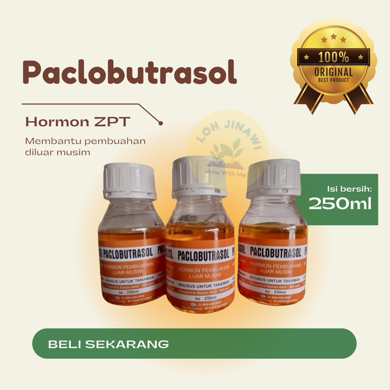 ZPT PACLOBUTRAZOL HORMON MURNI PEMBUAHAN DI LUAR MUSIM 250 ML