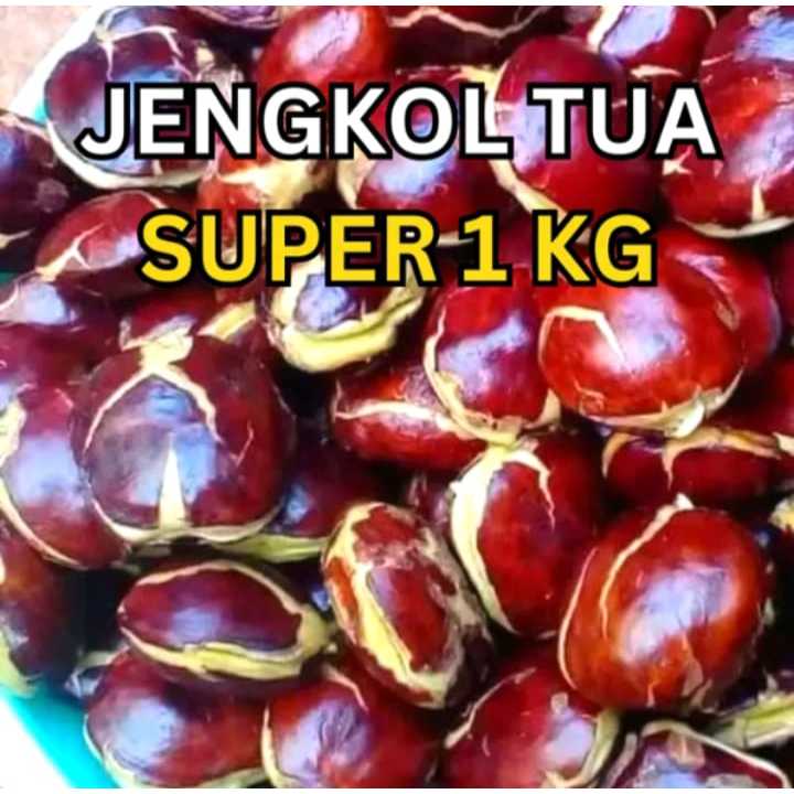 

Jengkol Tua Jengki Segar Pilihan Jengkol Mentah Super