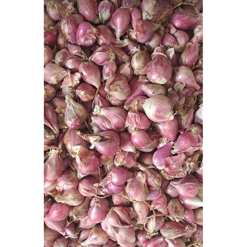 

TERMURAH!! BAWANG MERAH BREBES CAMPUR 1KG