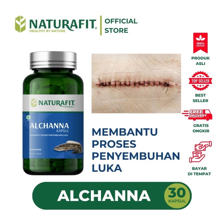 Kapsul Kutuk Ikan Gabus ALCHANNA 60 kapsul - Supplement Herbal dari Ikan Gabus