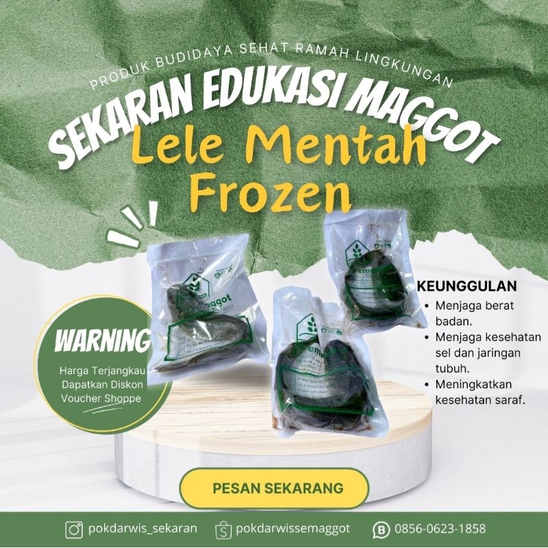 

Lele Mentah Frozen - Semaggot