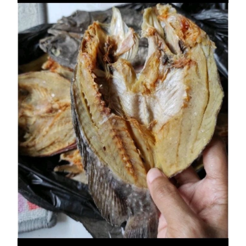 

Ikan asin sunu segar 500grm