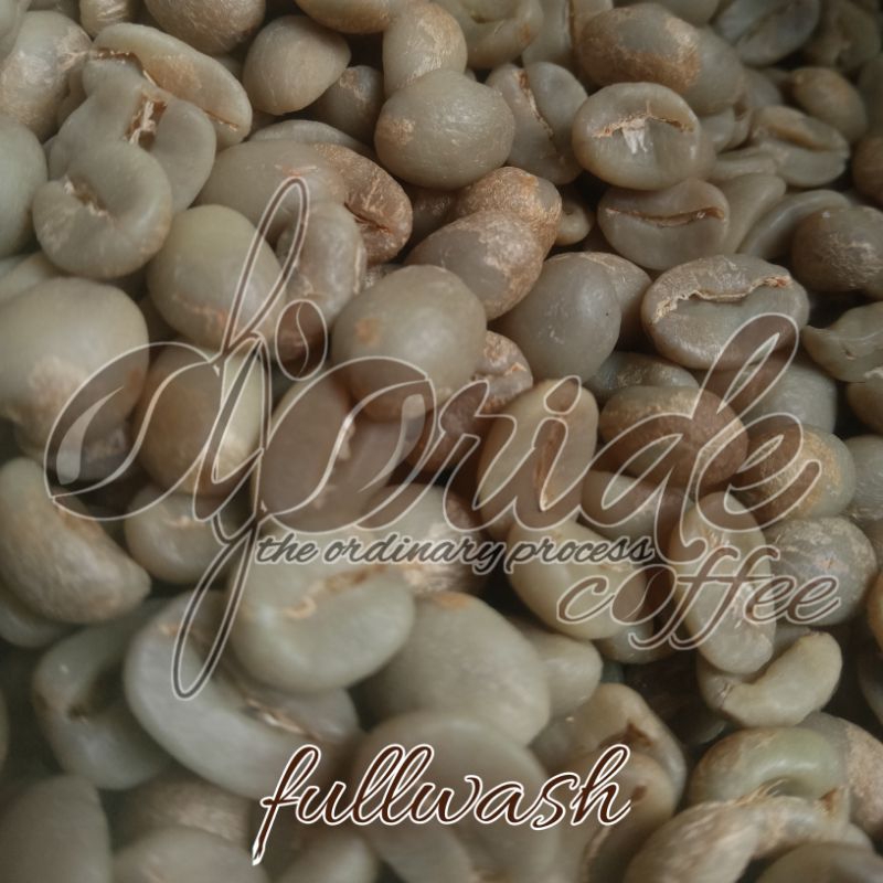 

BIJI KOPI ARABICA/GREENBEAN ARABICA FULLWASH SPECIALTY