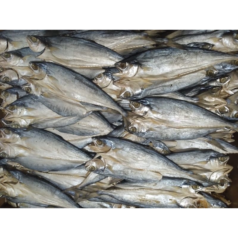

IKAN PANDAN PANDAN