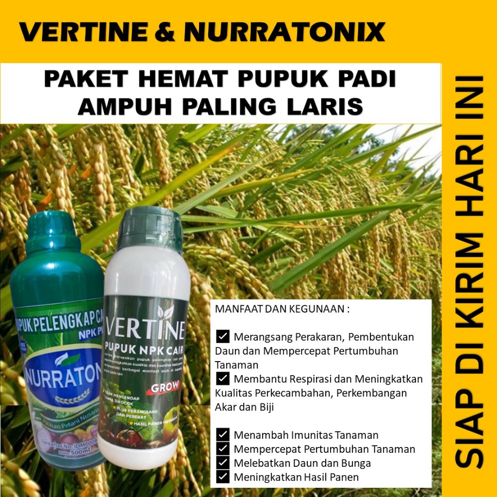 PAKET 2 BOTOL PUPUK NURRATONIX - VERTINE GROW Ampuh PELEBAT PADI Musim Hujan Paling Ampuh - Obat Cai