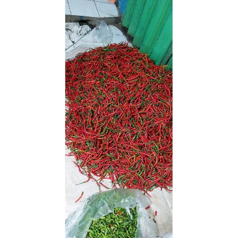 

CABE MERAH KERITING FRESH 1KG