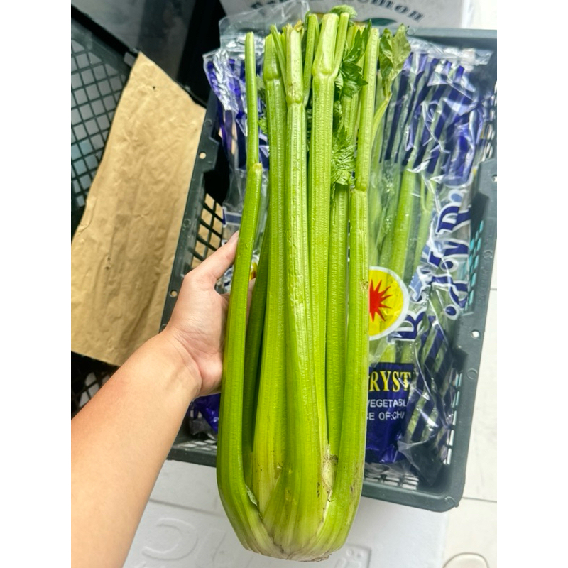 

CELERY STICK IMPORT (BOX)