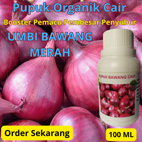 Pupuk Bawang Merah | Pupuk Pemacu Bunga Dan Umbi Bawang Merah | Pupuk Pembesar Penyubur Umbi Bawang