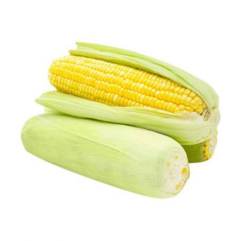 

Jagung Manis