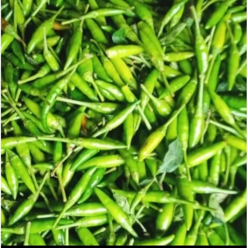 

CABE RAWIT HIJAU 100GR