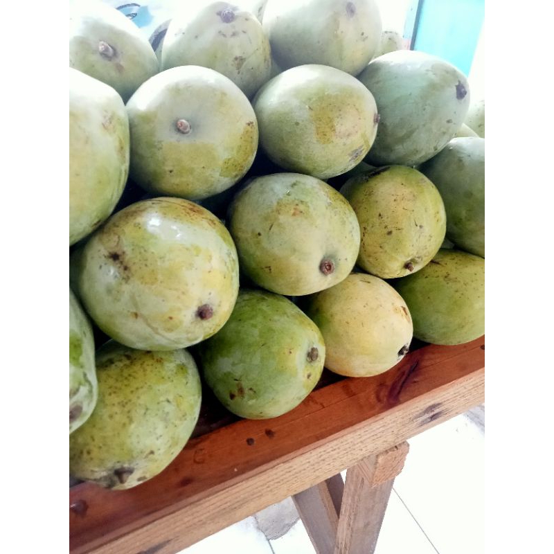 

Mangga indramayu 1kg