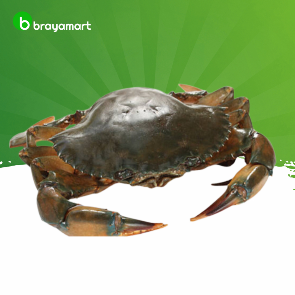 

Kepiting bakau fresh 500 gram Brayamart