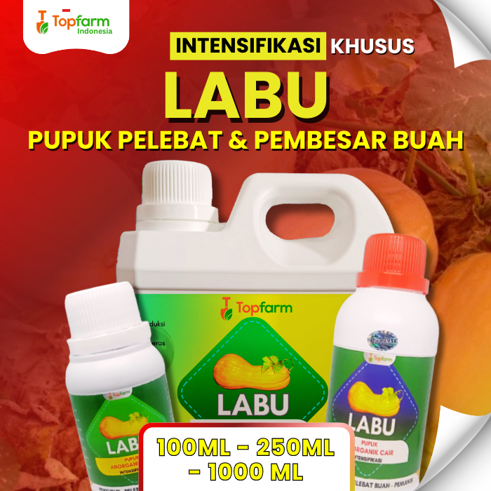 Pupuk Buah Khusus Tanaman Labu / Pupuk Tanaman Buah Labu Madu / Pupuk Penyubur Tanaman Buah Labu