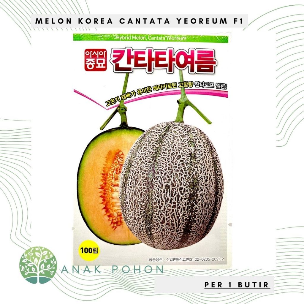 Benih Bibit Biji - Korean Melon Cantata Yeoreum F1 Hybrid Seeds - IMPORT KOREA - Melon Sultan Korea 