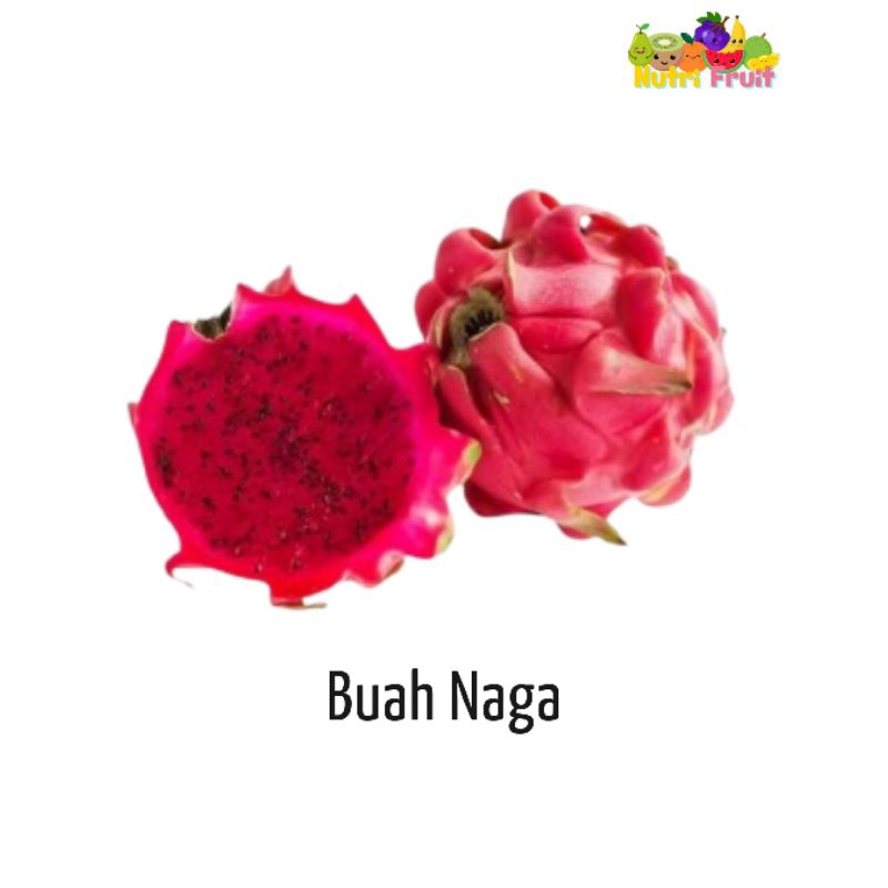 

NUTRI FRUIT - BUAH NAGA FRESH BANDUNG