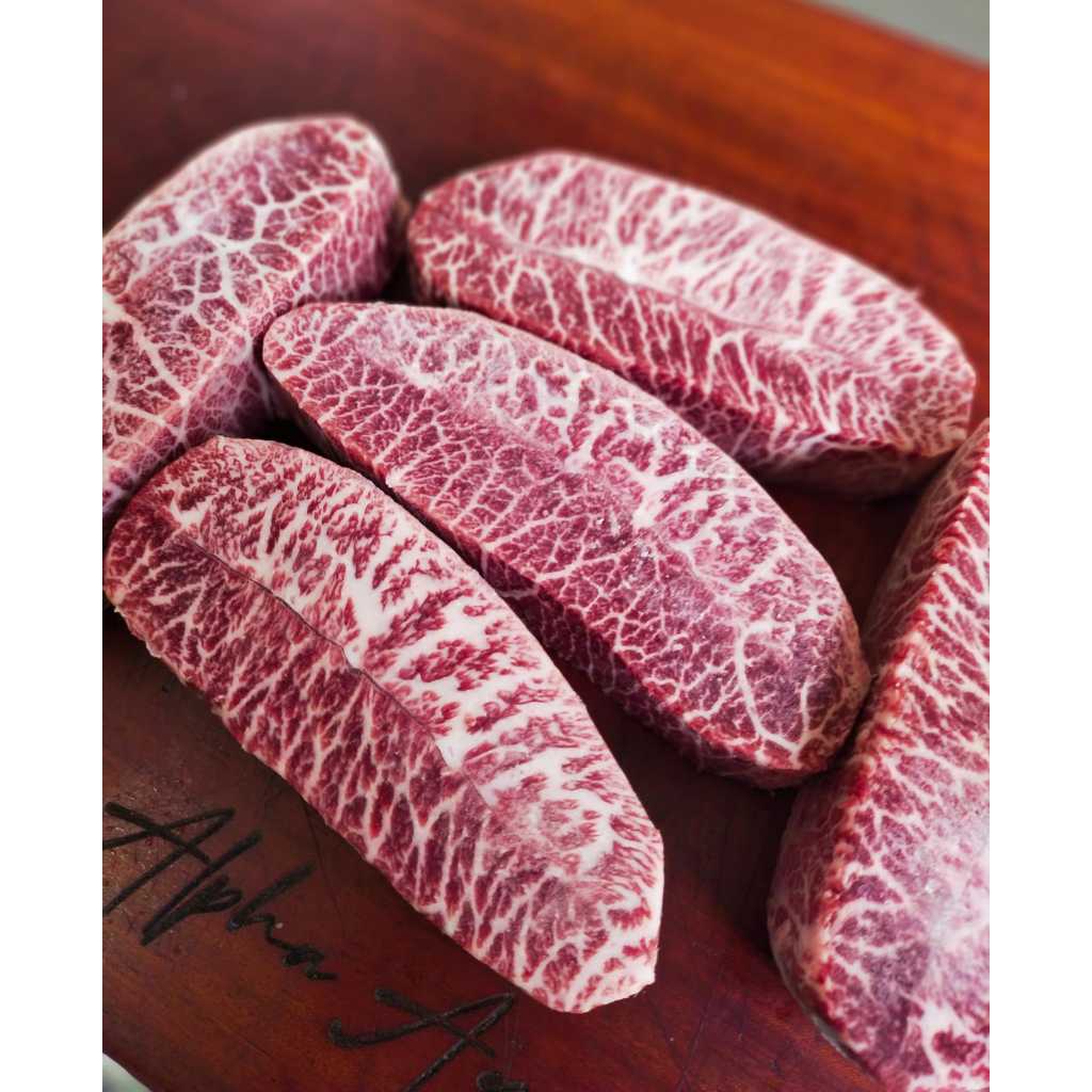 

Paket Promo Oyster MB 9