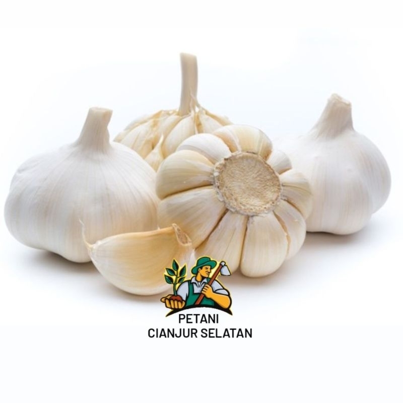 

Bawang Putih Kering | Garlic Premium | Bawang Putih Fresh | Segar