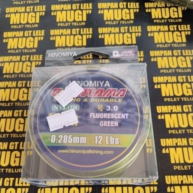 Senar Hinomiya Galatama