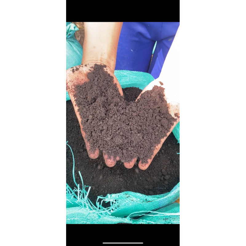 pupuk organik / pupuk kascing