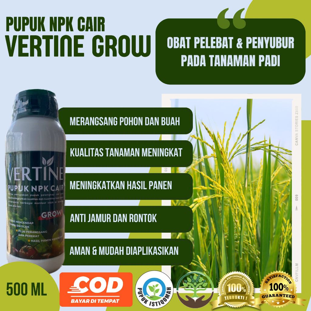 TERLARIS  VERTINE-GROW 500 ML PUPUK PELEBAT PADI PALING AMPUH DI MUSIM PANAS DAN MUSIM HUJAN - Pupuk