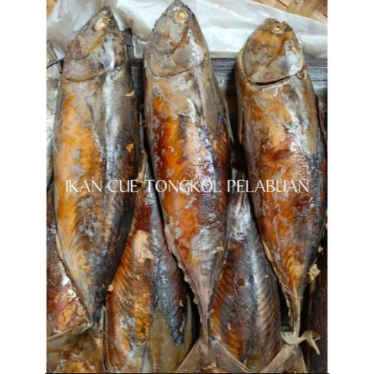 

Ikan Cue tongkol D+ super has pelabuan ratu 250grm