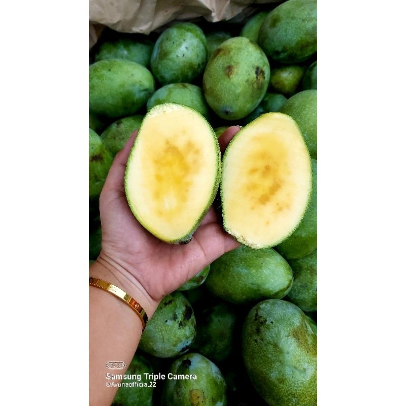 

Mangga Manalagi