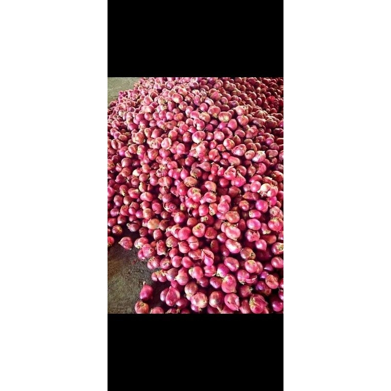 

BAMER 1KG BAPUT 250GR MURAH KUALITAS TERJAMIN UKURAN SUPER NDOLL