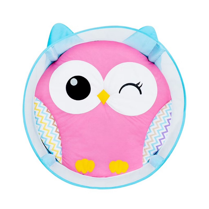Little Friends Baby Playmat Playgym