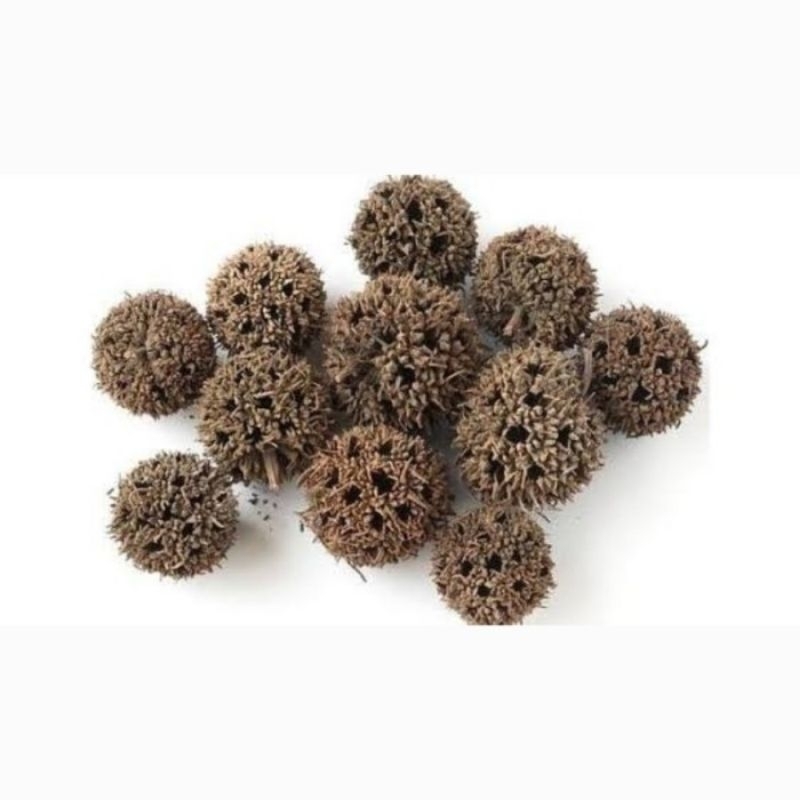 

50gr 路路通 Lu Lu Tong Fructus Liquidambaris Taiwan Sweetgum