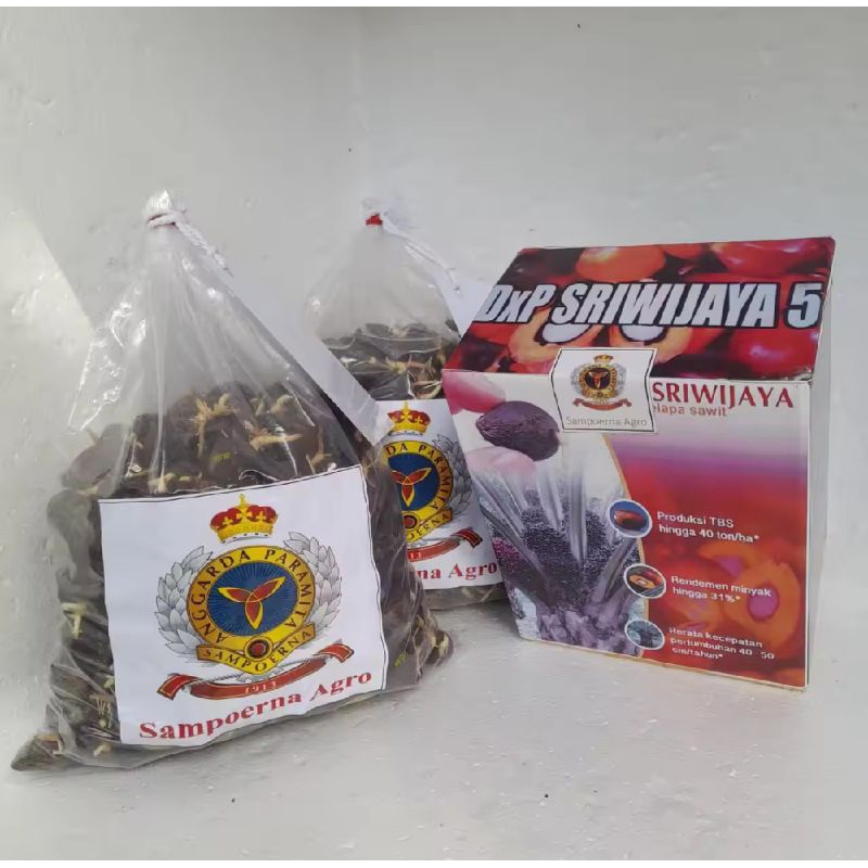 Benih Bibit Sawit DxP SRIWIJAYA 5+Sertifikat