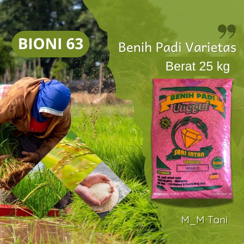 BIBIT BENIH PADI SUPER BIONI 63 LABEL UNGU TERBARU