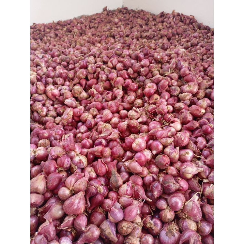 

bawang merah/brambang grade superrr