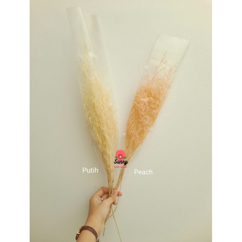 Preserved Caspea putih dan peach/ Dried Flower / Caspea Flower / rustic flower